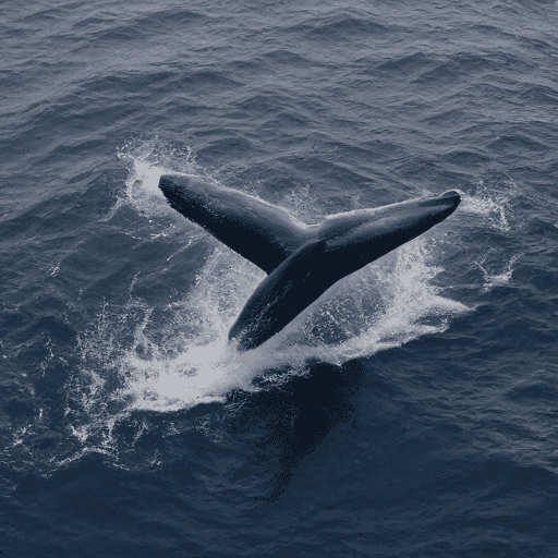 Cover Image for A whale jumping out of the water creates an iconic and dramatic scene in marine biology photography,